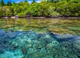 Isole Molucche: dove si trovano, quando andare e cosa vedere