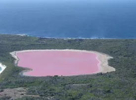 Lake Hillier, Australia: Ecco perché il lago è rosa