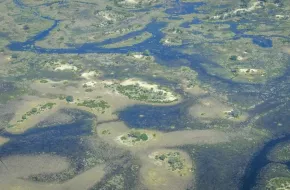 Delta dell'Okavango, Botswana: dove si trova, quando andare e cosa vedere