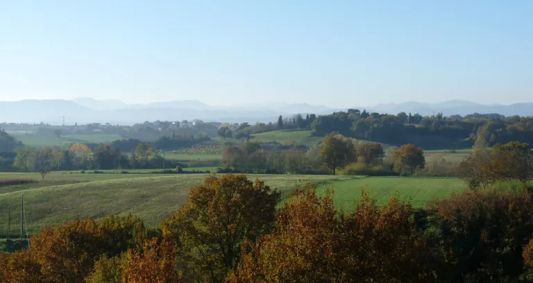 Autumn In Mugello