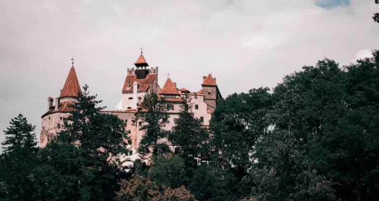 Bran Castle Behind Trees