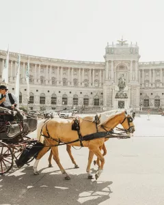 Vienna - Austria