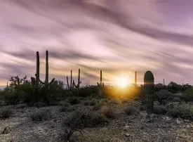 Tucson, Arizona: dove si trova, quando andare e cosa vedere