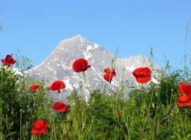 Dove andare in Montagna in Abruzzo