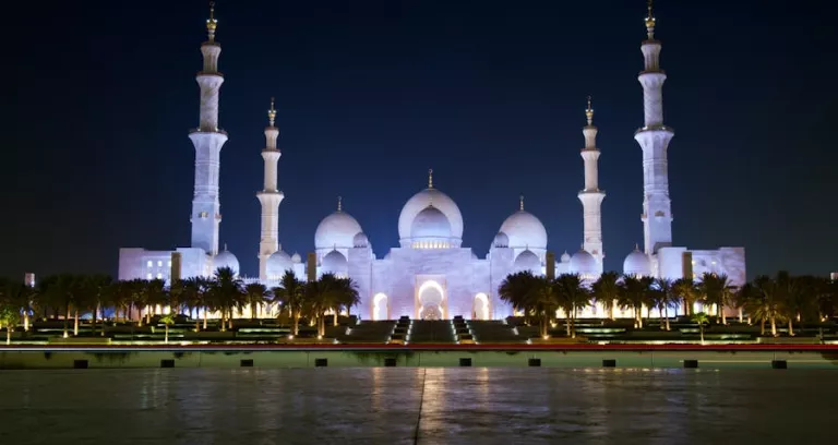 Punto Di Riferimento Notte Emirati Arabi Uniti Moschea