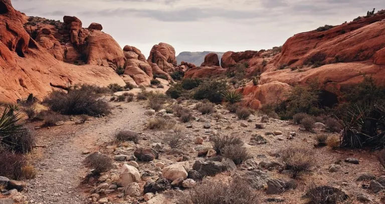 red rock canyon las vegas nevada