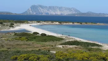 San Teodoro