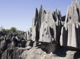 Parco Nazionale Tsingy de Bemaraha, Madagascar: dove si trova, quando andare e cosa vedere