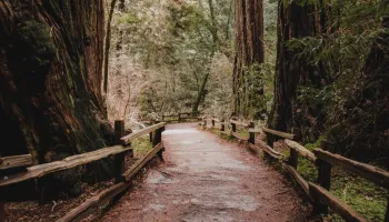 Muir Woods National Monument