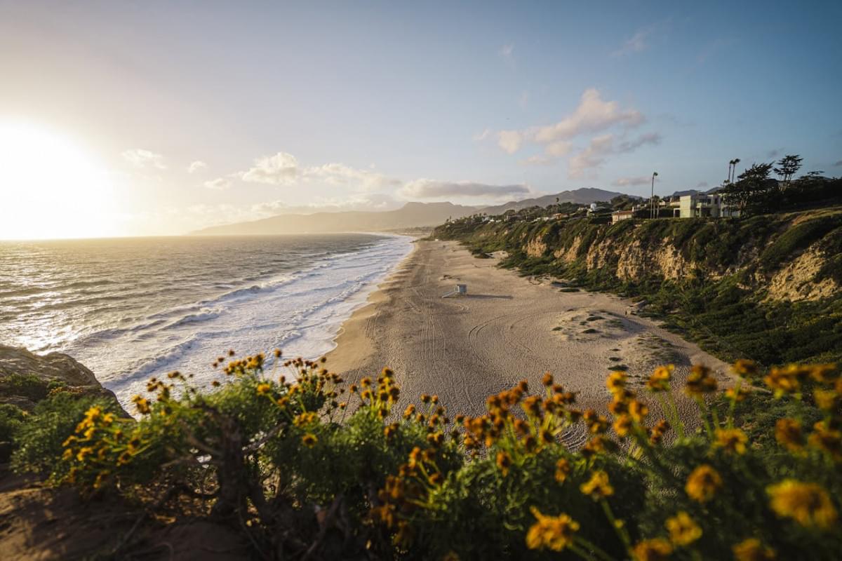a beach with flowers and a sun setting