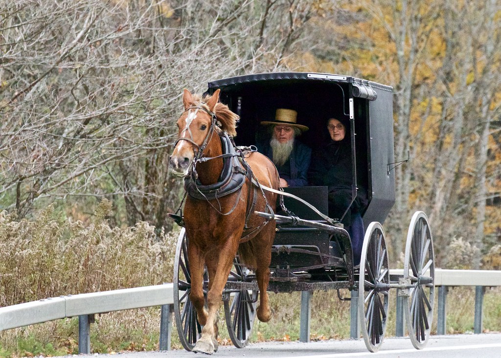 amish country