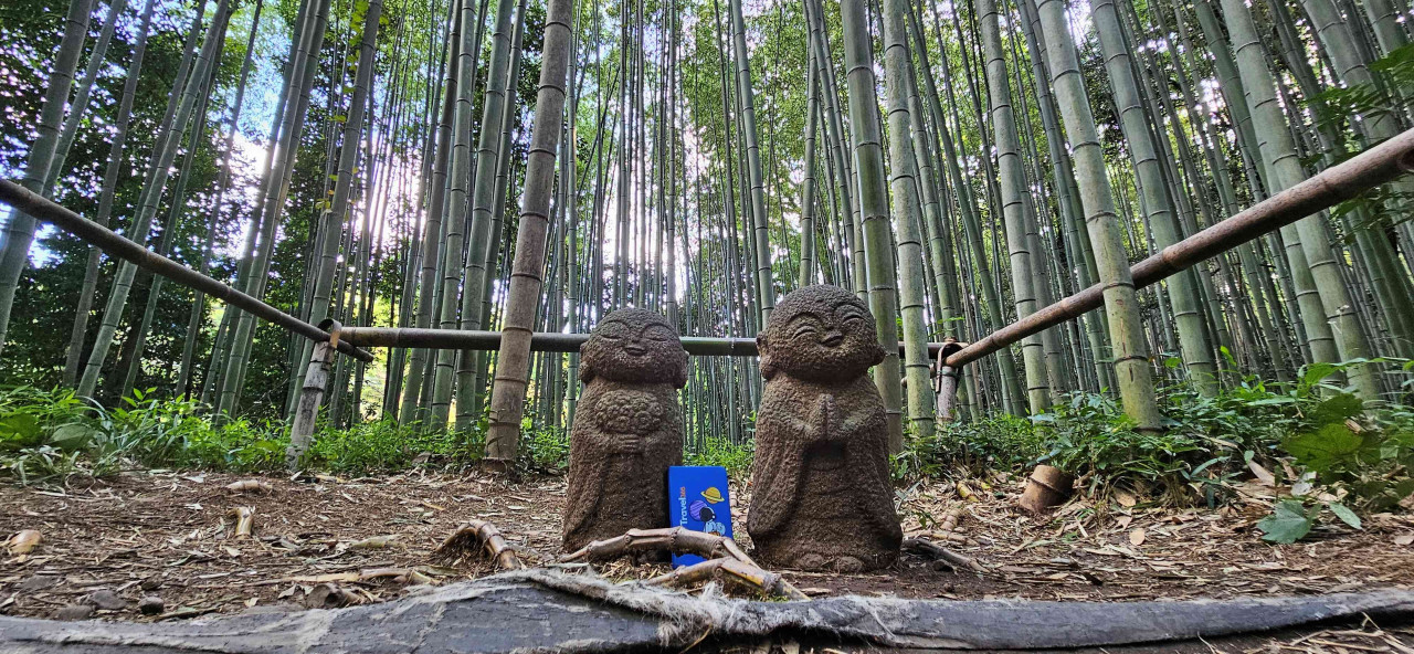 arashiyama bamboo forest kyoto 6 1