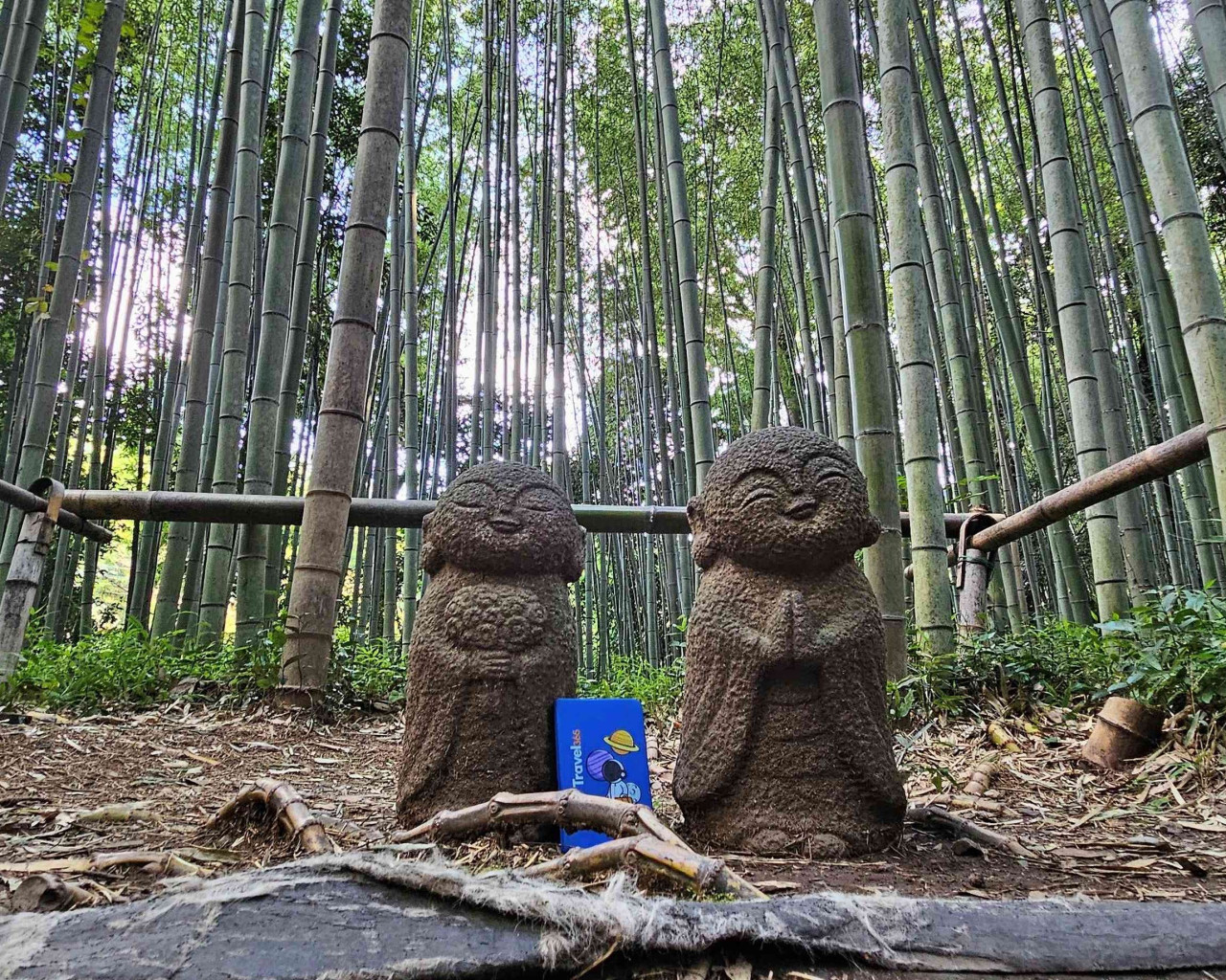 arashiyama bamboo forest kyoto 6 2