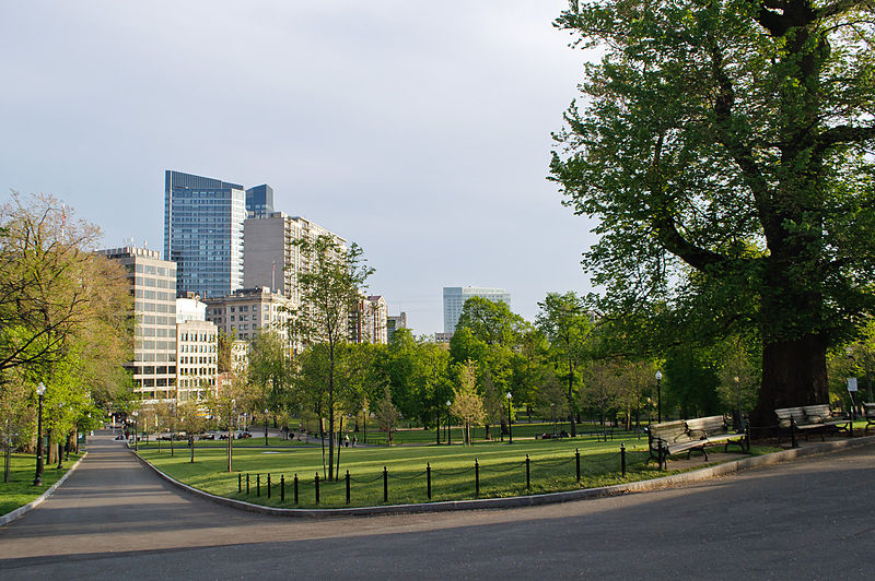 boston common 7208155154