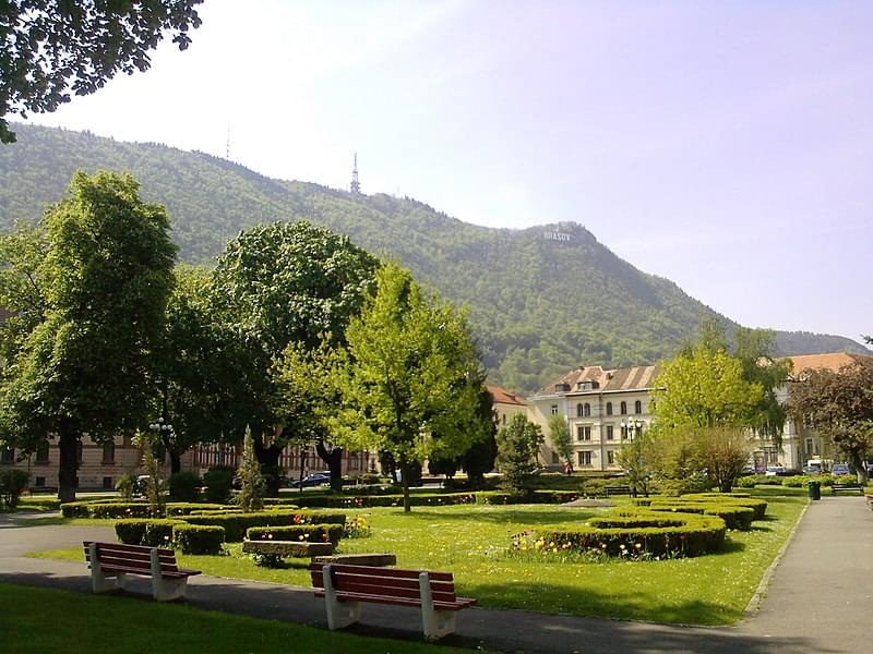 brasov tampa collina