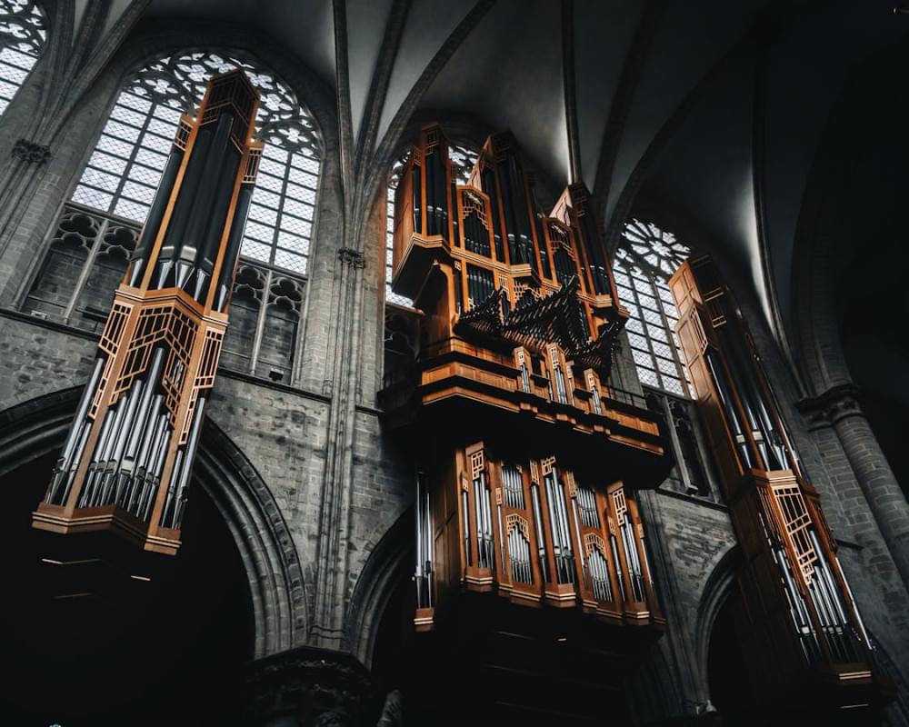 brown organ