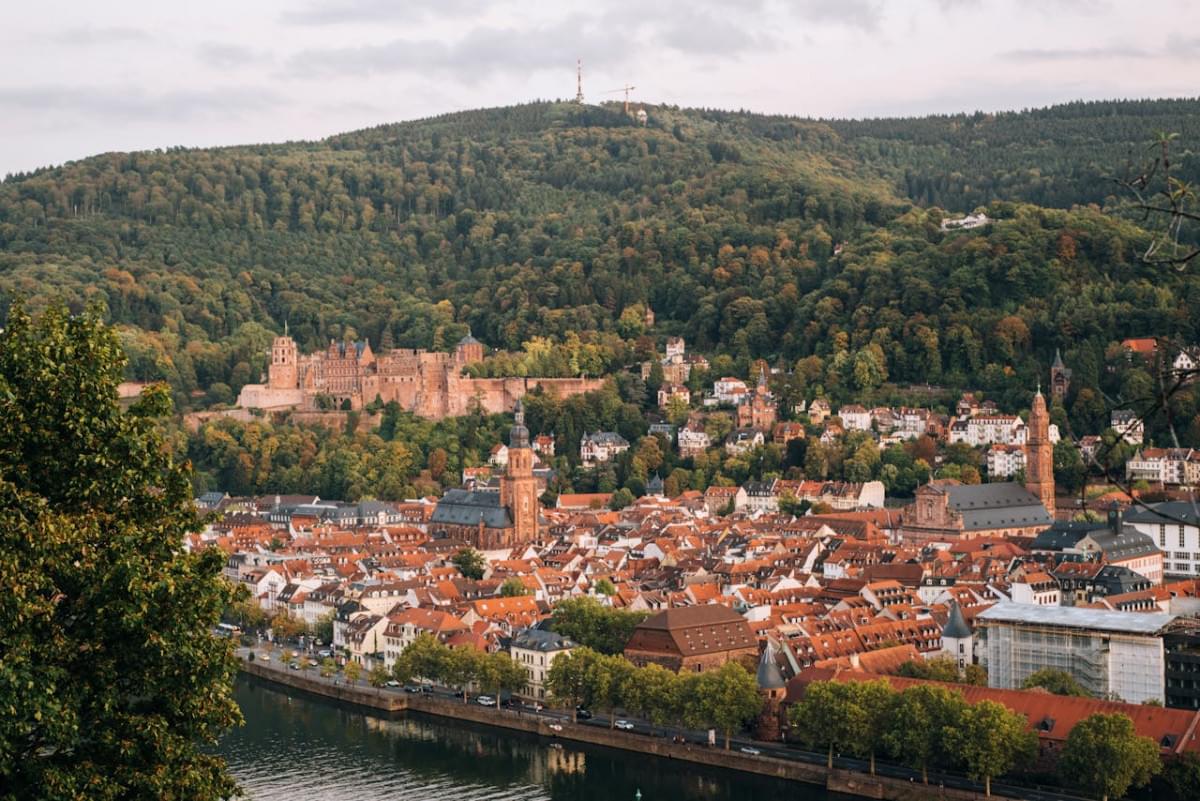 cityscape of city near river and hill