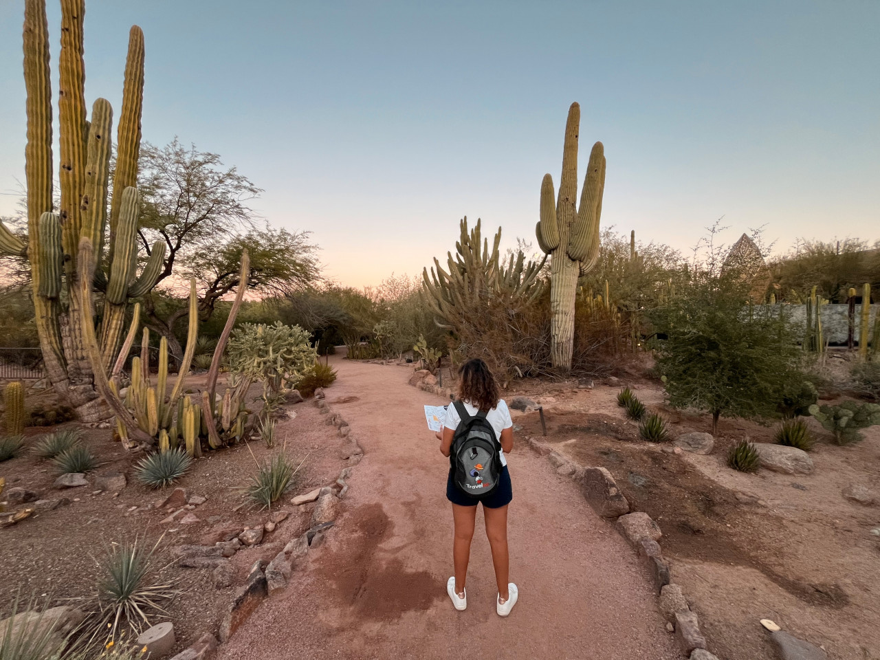 desert botanical garden 7 1