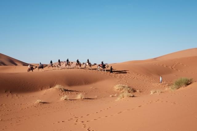 deserto cammelli douz sabbia