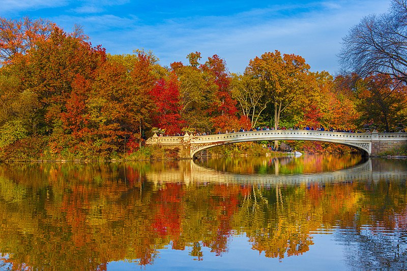 fall foliage central park new york city bow bridge u s a