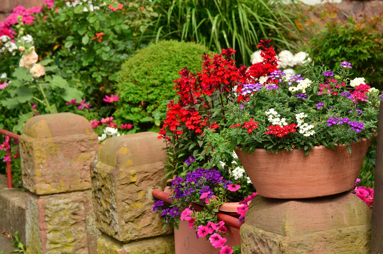 fiori estivi piante da balcone vaso