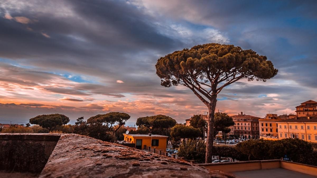 frascati roma tramonto albero