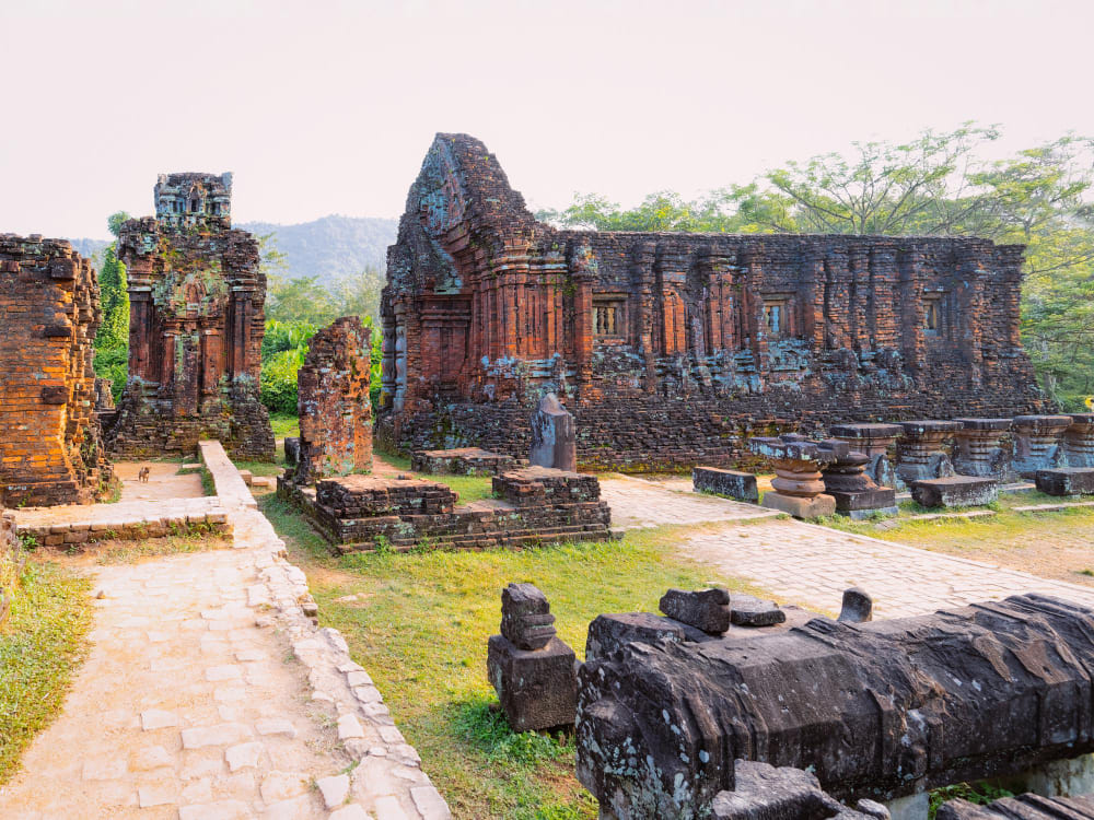 i templi e il santuario indu di mio figlio hoi an vietnam in asia patrimonio del regno champa storia e cultura di myson rovine della citta di shiva museo vietnamita civilta induista in terra santa