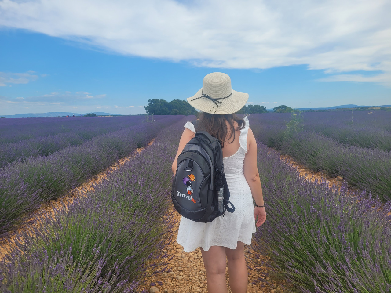 lavanda francese