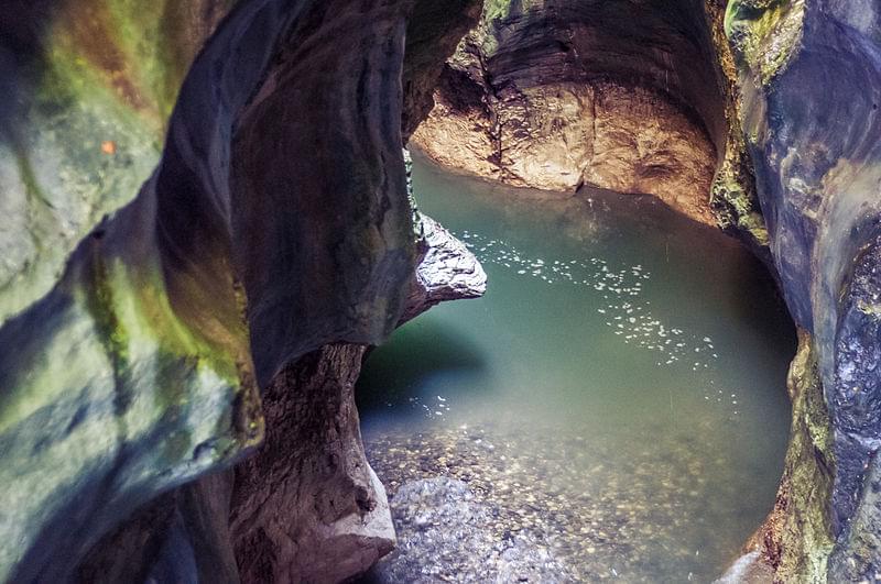 le fier en gorges du fier 1