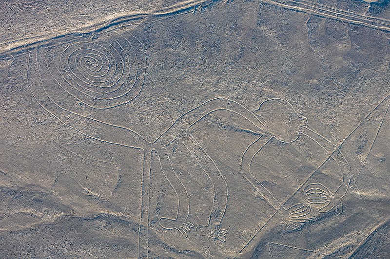 lineas de nazca nazca peru 2015 07 29 dd 49