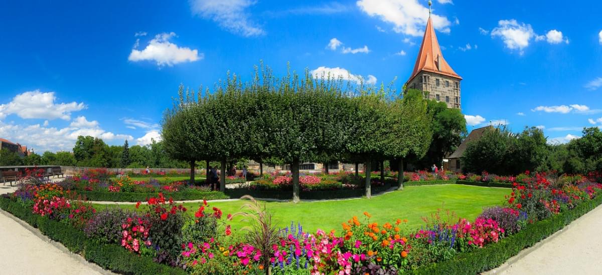 natura giardino fiore fioritura