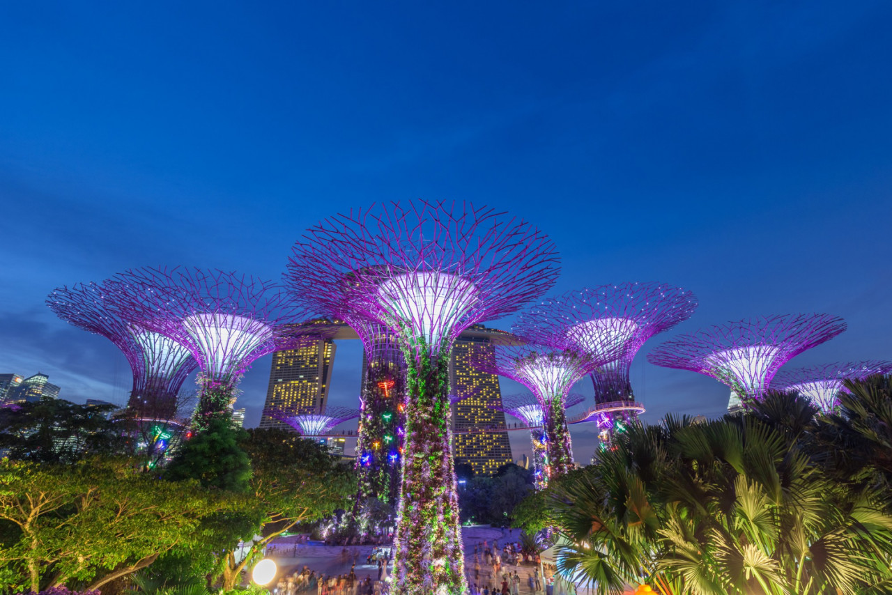 night view of super tree grove in garden rhapsody ocbc light and sound show at gardens by the bay in singapore