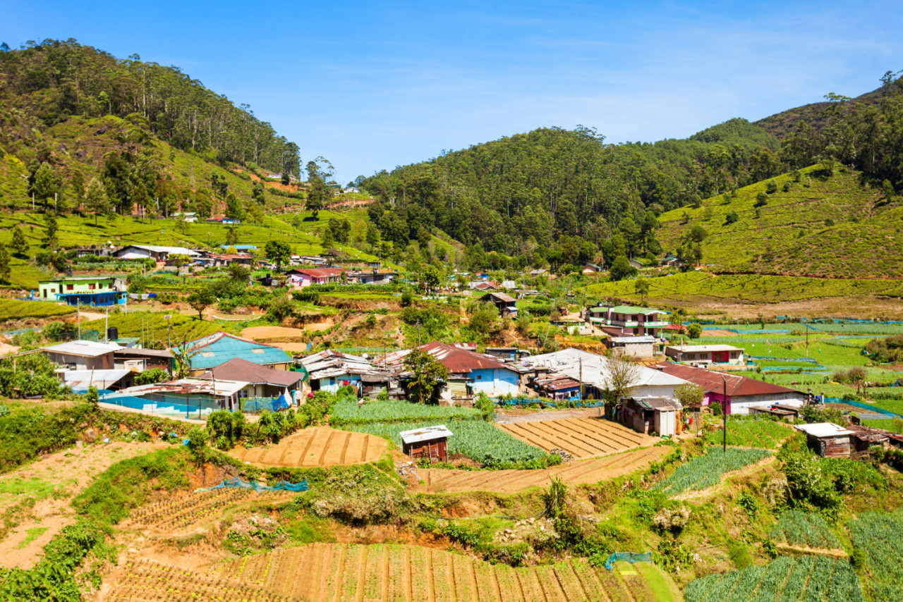 nuwara eliya city view