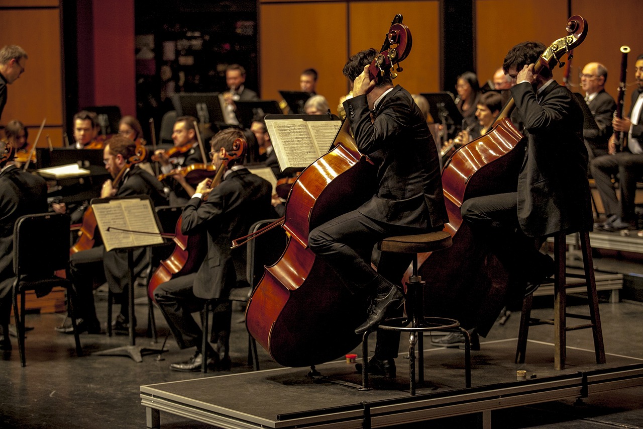 Orchestra sinfonia musicisti