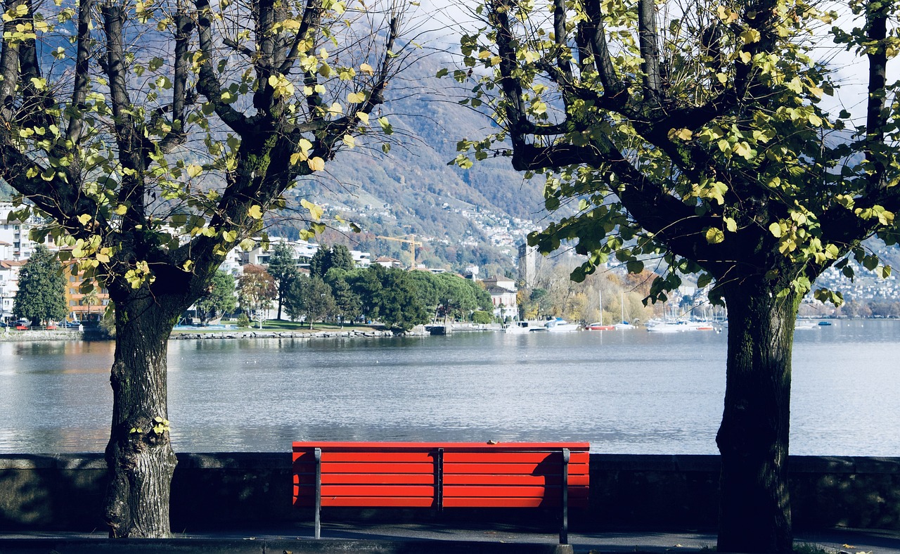 panchina svizzera lago alberi 1 1