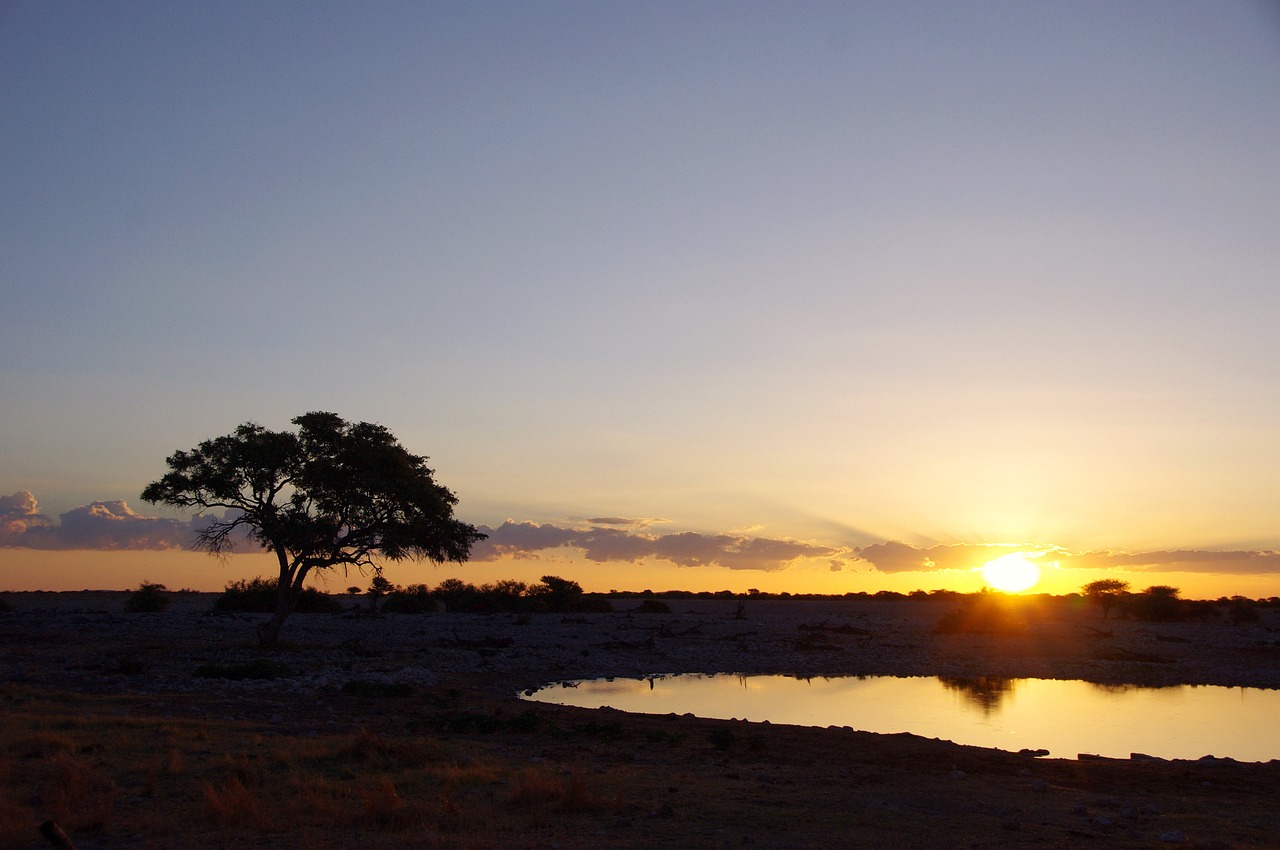 parco nazionale di etosha namibia