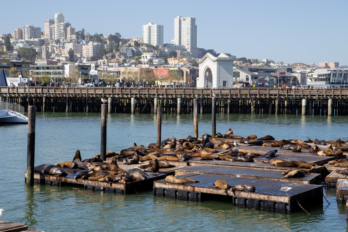 pier 39 san francisco california