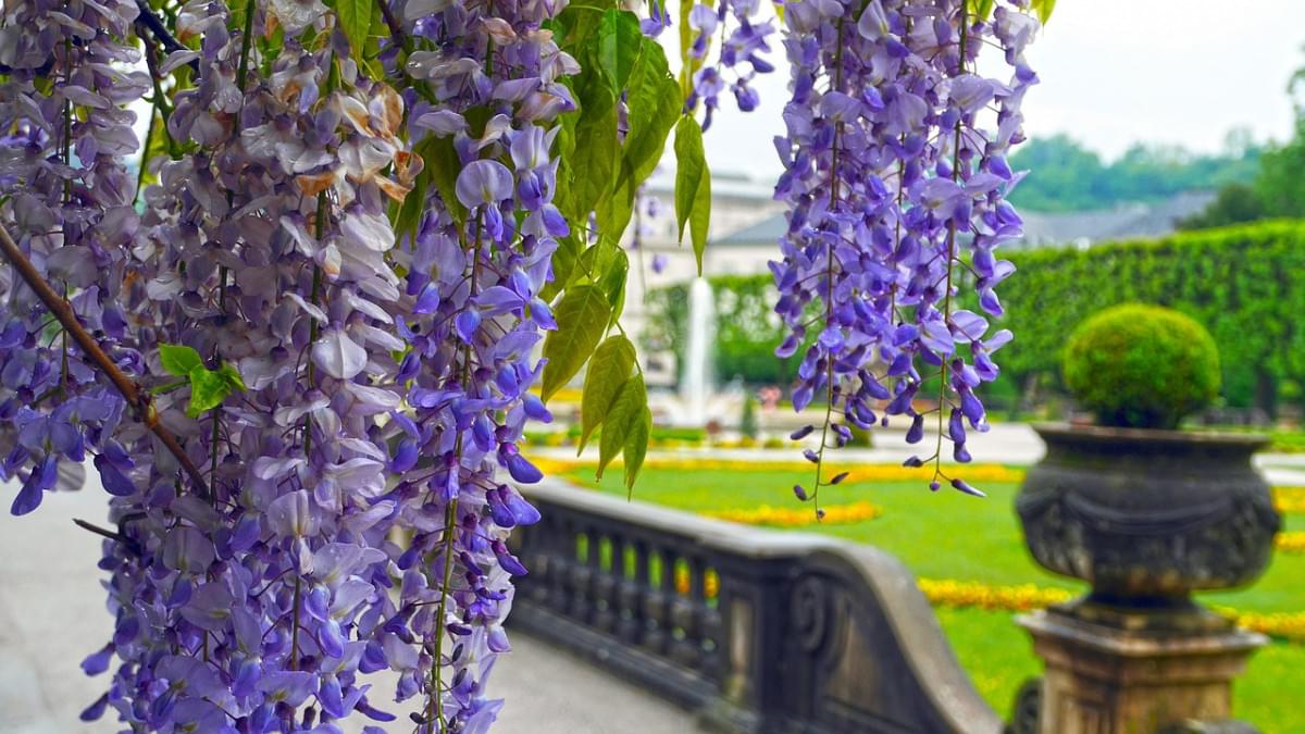 salisburgo parco mirabell 1