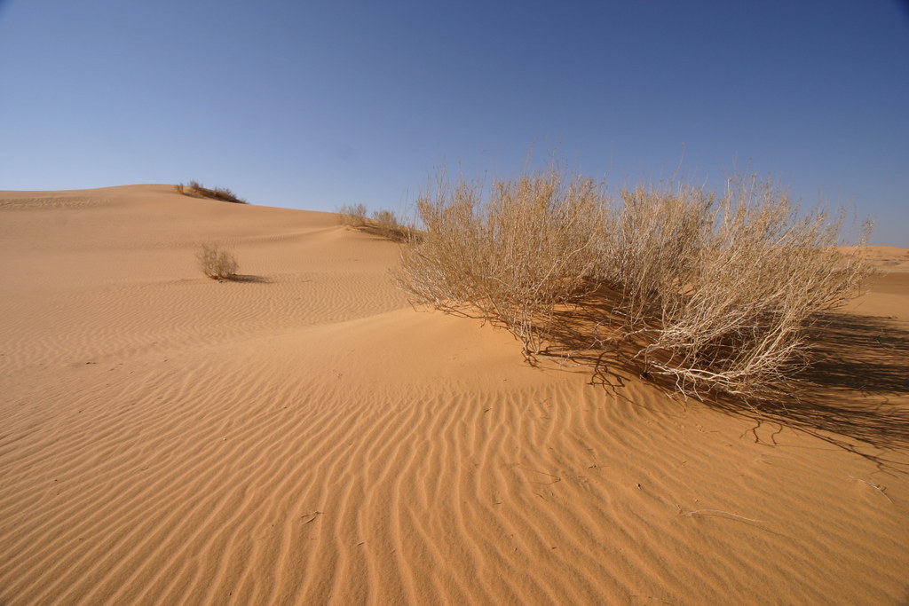 saudi arabia