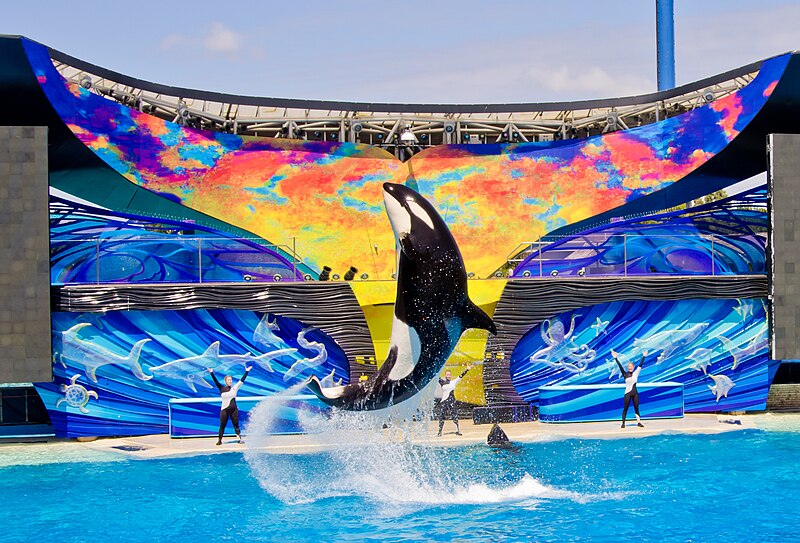 seaworld san diego5