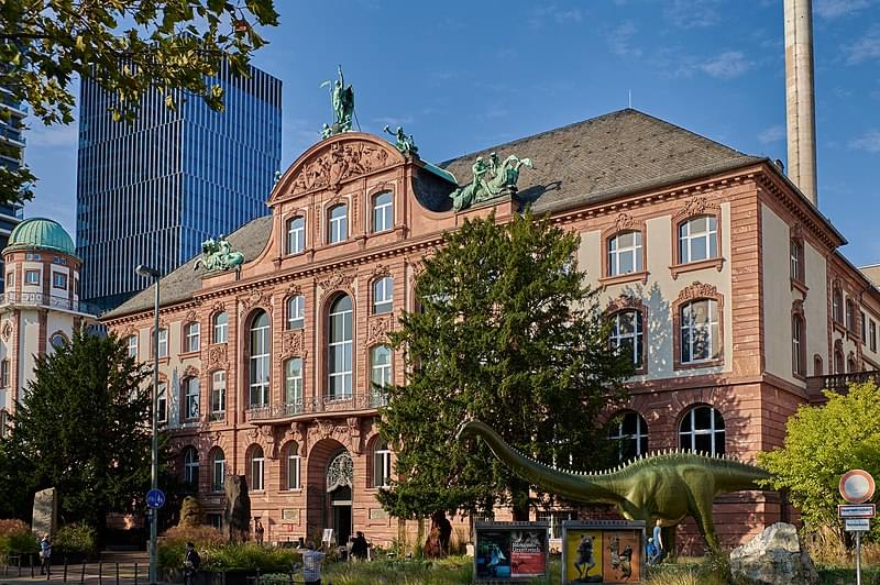 senckenberg museum frankfurt