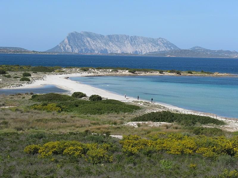 spiaggia isuledda con vista su tavolara s teodoro