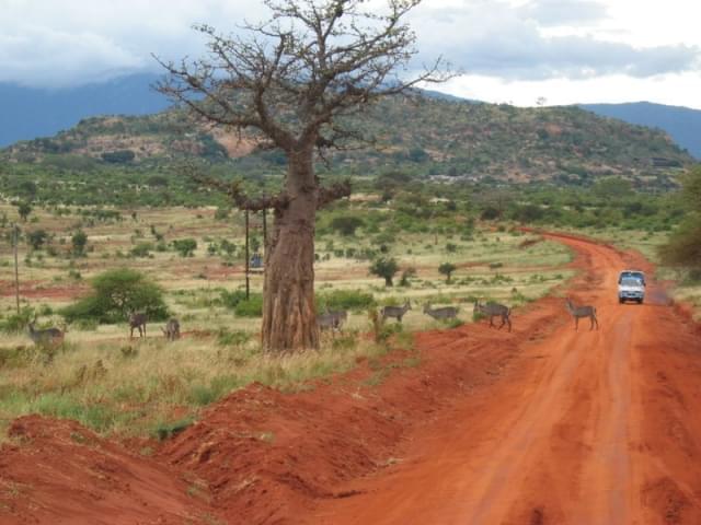 strada safari tsavo