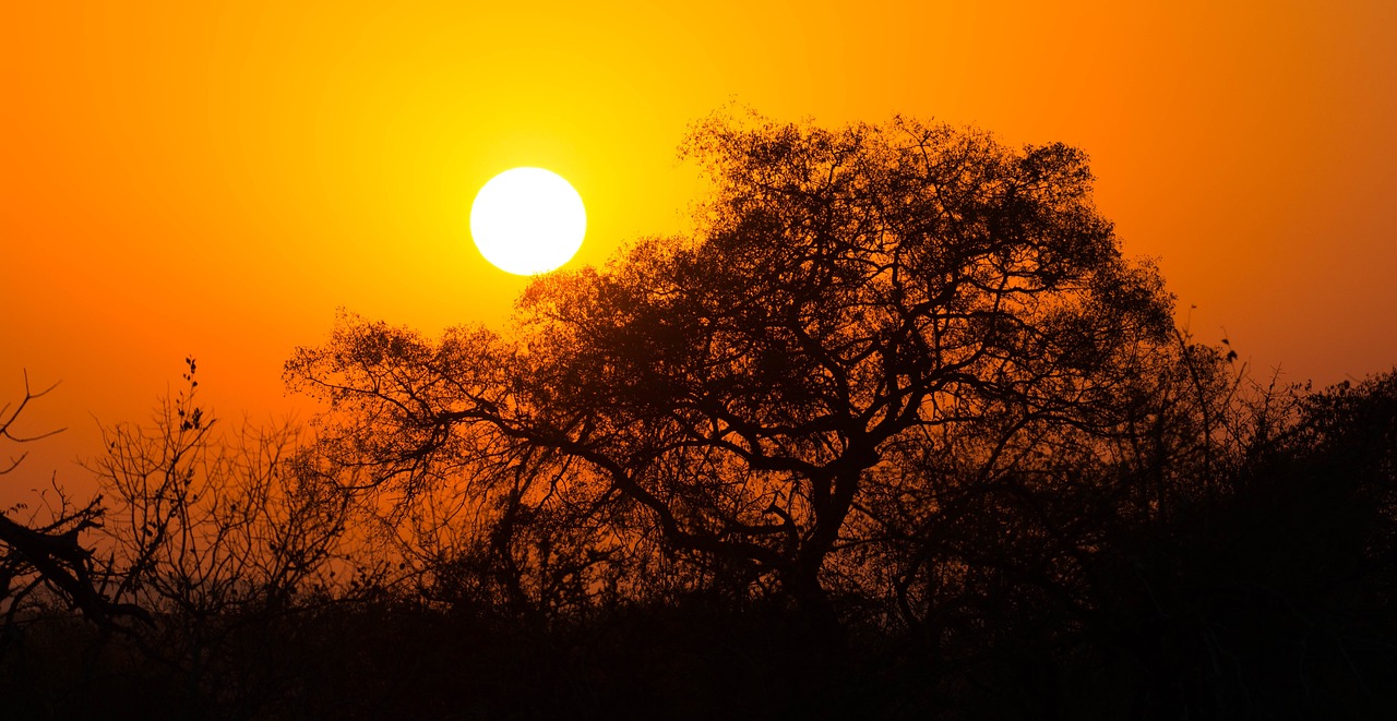 sud africa alba paesaggio parco