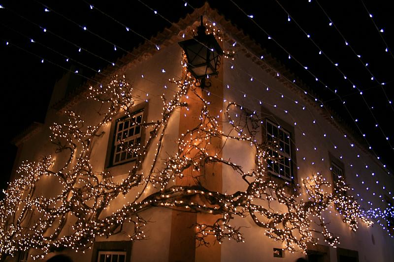 trepadeira iluminada