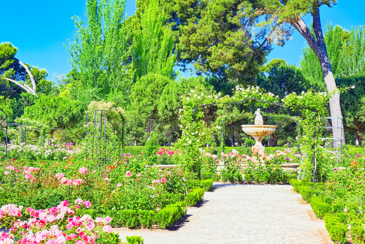 walking through buen retiro park rose park parque de las rosas botanical garden park retiro