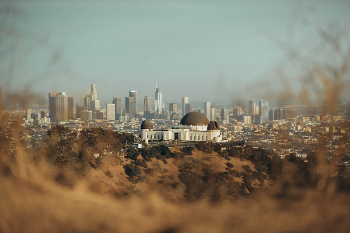 white and brown buildings 3